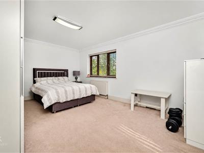 Picture 11